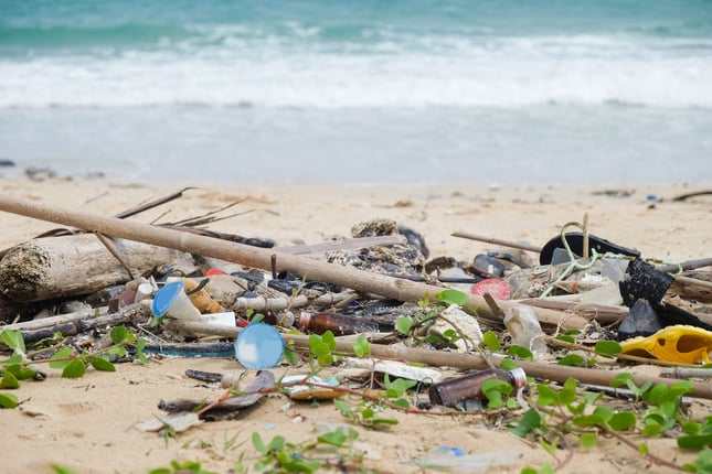 No tires basura en playa.jpg