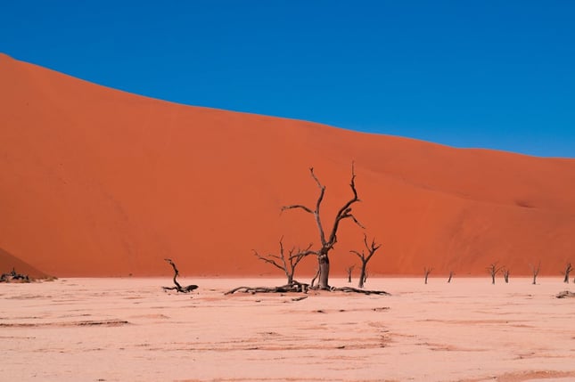 problemas ambientales calor.jpeg