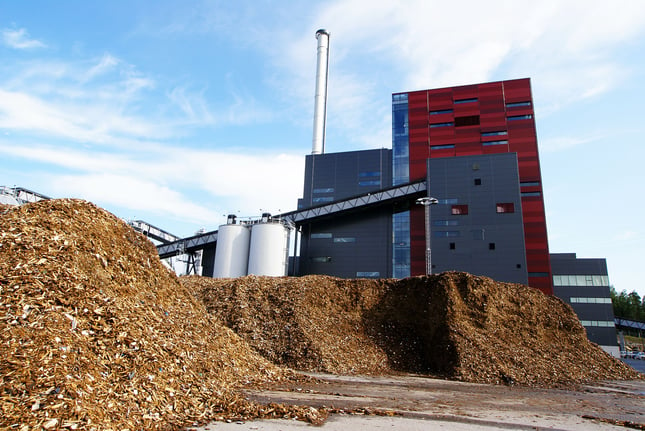 Biomasa Sustentable México.jpg