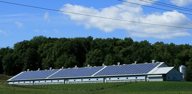 panel-solar-negocio.jpg